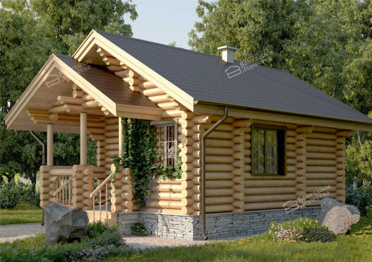 Image 2
